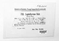 Leptothyrium rubi image